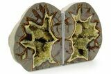 Crystal Filled Septarian Geode Bookends - Utah #378569-1